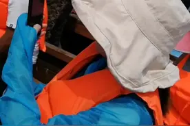 带你们看看海带和裙带菜是怎么长的。视频封面