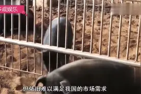 24小时损失高达352亿，美盟友致电中国低头求和啊视频封面