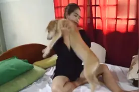 嫂子和狗狗在床上欢快玩耍，狗狗太配合了，突然好羡慕这狗的生活视频封面