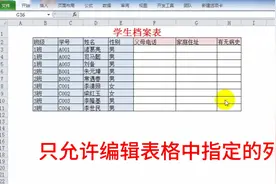 高手做的excel表格，只允许编辑表格中指定的列，原来实现很简单