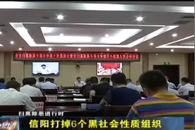 信阳市打掉6个黑社会性质组织，涉案人员高达208人视频封面