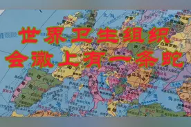 世卫组织的主要职责是什么？为什么会徽上有一根盘绕着蛇的权杖？视频封面