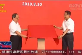 中国（广西）自由贸易试验区正式揭牌，8家中外企业抢先进驻南宁