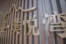 #幸福里dou出好房  三盛 · 璞悦湾  |  实景准现房
 115-118㎡阔景复式低公摊 大四房 图片