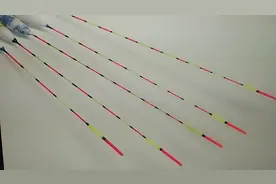 钓鱼技巧，不同型号浮漂适用鱼情解析！视频封面