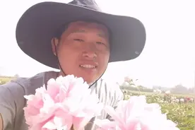 很受女士欢迎的一款芍药花，犹如宝玉喜欢晴雯一样，关键好养活