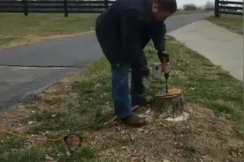 用这种方法处理树桩还是第一次见，看完不得不佩服视频封面