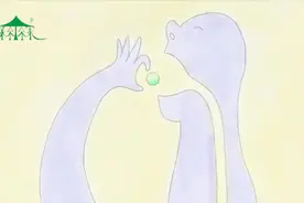 小森带您了解吃下去的药是如何发挥作用的