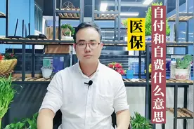 医保报销清单，个人支付与个人自费是什么意思，大部分人都没看懂视频封面