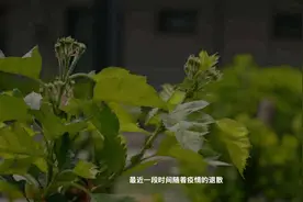 小米空调、苏宁小Biu空调拆机评测，测试结果和预想的一样