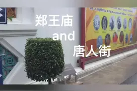 来普及一下泰国第41代国王郑信的知识啦！[耶][耶][耶]视频封面