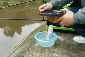 新手钓友用量杯开饵，如何正确掌握饵水比呢？老司机请划过