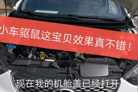 小车防鼠有招了，明哥网购一便宜宝贝测试一周，效果真棒视频封面