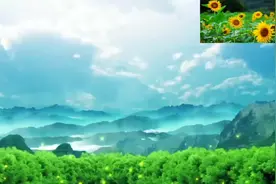 贵州山歌《好比金鸡配凤凰》视频封面