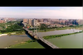 渭柳湿地视频视频封面
