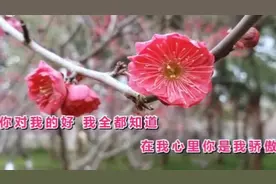 《全世界只有你最好》视频封面