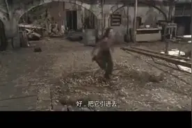 男子把巨蟒钉在地上，不料巨蟒却还不放弃吃前面的美女，太贪吃了视频封面