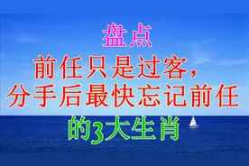 前任只是过客，分手后最快忘记前任，很快地寻找下家的三大生肖