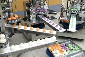 包子机操作视频 新型包子机成型 全自动包子机