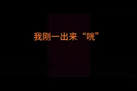 东北大哥与车险理赔客服的对话，看了会忍不住笑得视频封面