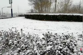 德州降雪持续，禹城、齐河将迎大雪！视频封面