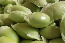 自制豆桨原来是这么简单用新鲜豆榨出来的豆浆口感浓稠细腻并且鲜视频封面