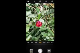 9、手机九宫格构图技巧