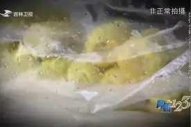 真相123：添加过玉米香精的玉米对人体有害吗？实验告诉你答案视频封面
