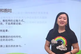 物质出入细胞的方式经典例题-例1.胞吐-翟思茗