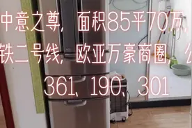 #楼市有料 中意之尊，面积85平70万，地铁二号线，欧亚万豪商圈，公交361、190、301图片
