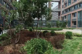 太原市外国语学校摄乐校区即将在9月投入使用图片