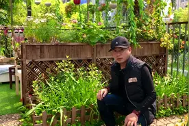 地栽的植物无比强大，长得茂盛开花量大，连浇水都不需要你动手视频封面