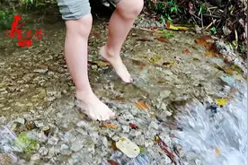 清远山中原生态清泉溪流，自驾游路线，带孩子来踩踩水太舒服了！
