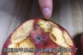 发霉的苹果在显微镜下如此恐怖，再也不隔夜吃了视频封面