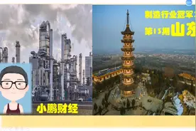 中国经济看山东，山东那些中国制造行业冠军企业，是北方经济基础视频封面
