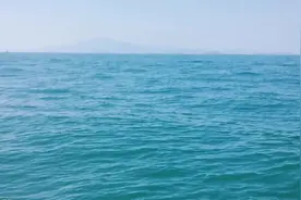 从不让人失望的那片海，今天又到大亚湾钓沙尖！图片
