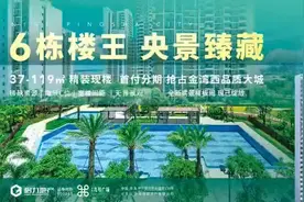 #平沙九号广场 首笔.万起 首付半年免息分期#楼市有料 图片