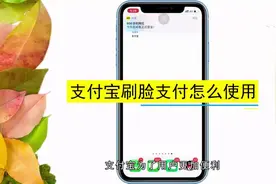 现在刷脸这么流行，那支付宝刷脸支付该怎么使用呢？