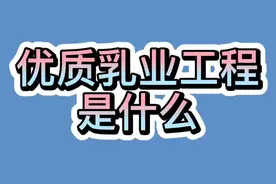 优质乳业工程是什么？视频封面