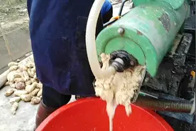 网络名词渣男渣女怎么来的？我猜大约来自这里，你觉得有道理不？视频封面