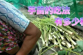70多岁的妈妈坚持种地，为的是让儿女能吃上绿色食品，感动又心酸视频封面