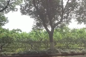 无锡阳山离常州好近，路上还看到了BRT公交车站，这个真的很不错