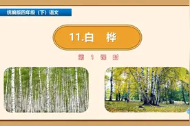 四年级下册语文《10.白桦》第一课时视频封面