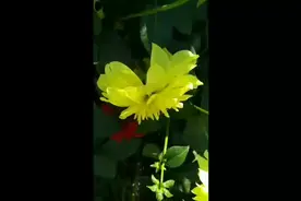 剪映怎样剪辑音乐的多余部分