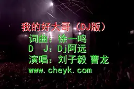 曹龙&刘子毅-我的好大哥DJ版-国语视频封面