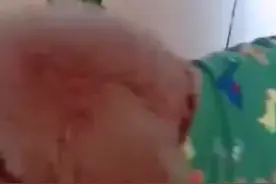 男主人把泰迪给揍了，泰迪现场还原被揍，女主人要为泰迪出气图片