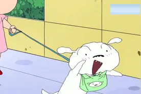 走失的小白找到小新了，开心地跳到小新身上！