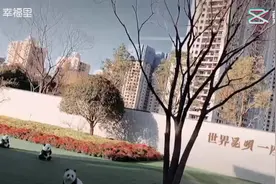 理想城全面在售#幸福里性价比好房推荐 图片