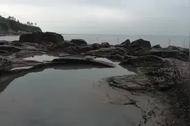 巨坑才是真正的藏宝之地，小川抽干发现罕见黄鲷窝，全部一网打尽