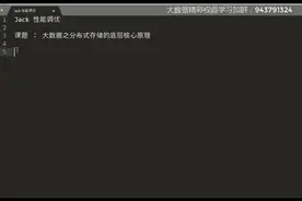 大数据之分布式存储系统底层核心原理视频封面